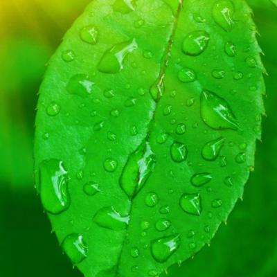 乐鱼娱乐app官网下载截图